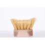 6880 ALFA Brosse à manche long